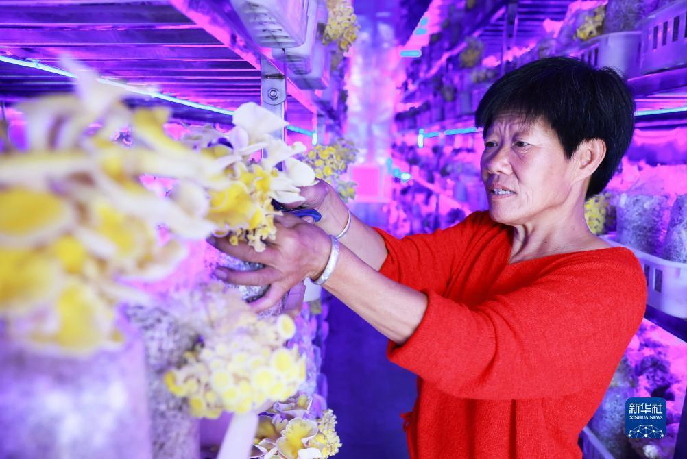 摩登彩票注册登录平台
